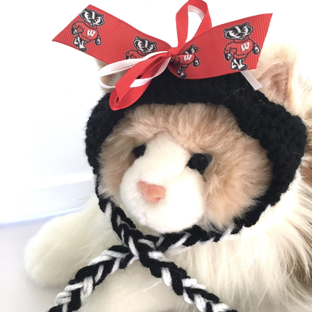 University of Wisconsin BADGERS Handmade Cat Hat *NEW*